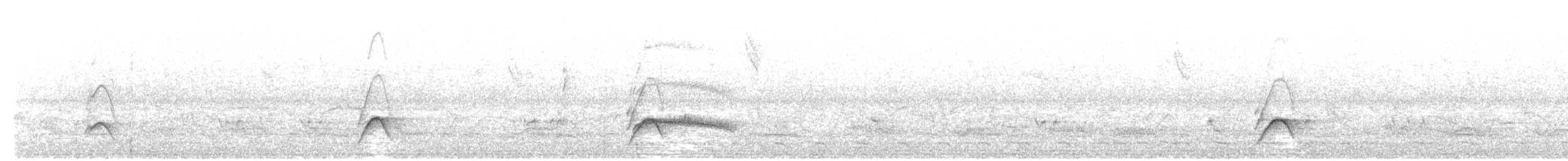 Lesser Elaenia - ML645499195