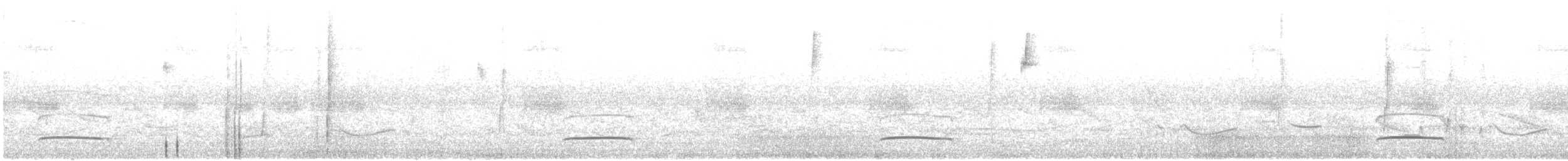 Swainson's Flycatcher - ML645499202