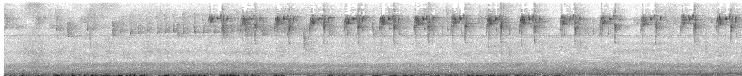 White-bellied Mountain-gem - ML645499264