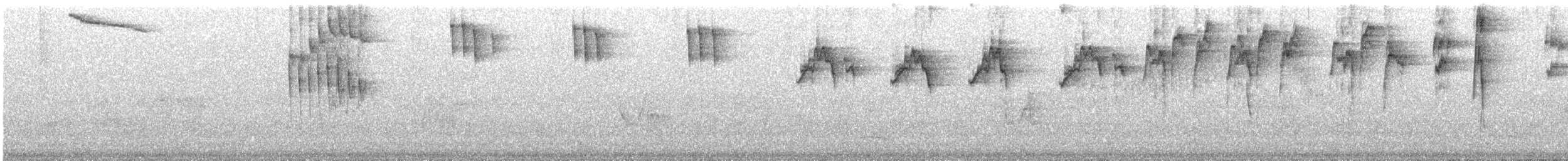 Yellow-legged Thrush - ML645499312