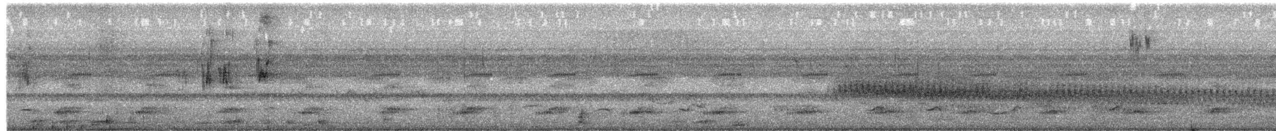 Keel-billed Toucan - ML645499425