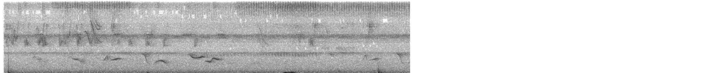 White-collared Swift - ML645499550