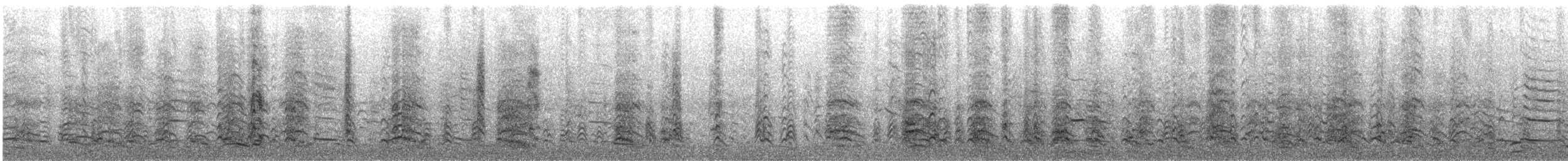 magellanmåke - ML645501005