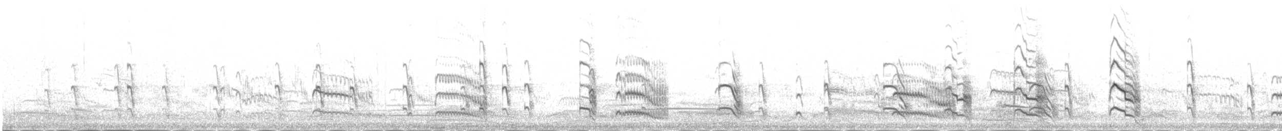 Txenada arrunta - ML645501191