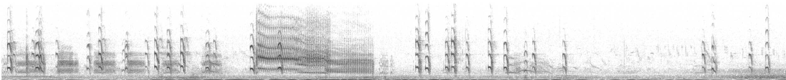 Txenada arrunta - ML645501192