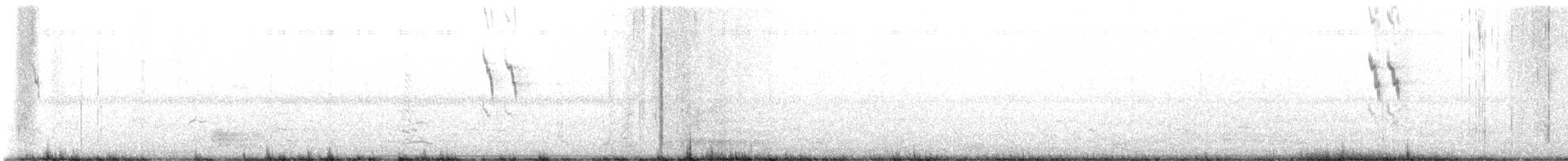 American Pipit - ML645501655