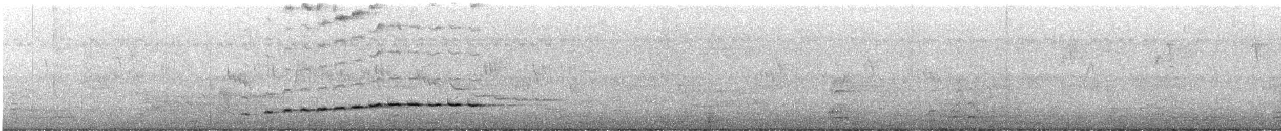 Spotted Morning-Thrush - ML645501689