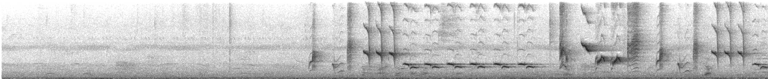 Spotted Morning-Thrush - ML645501691