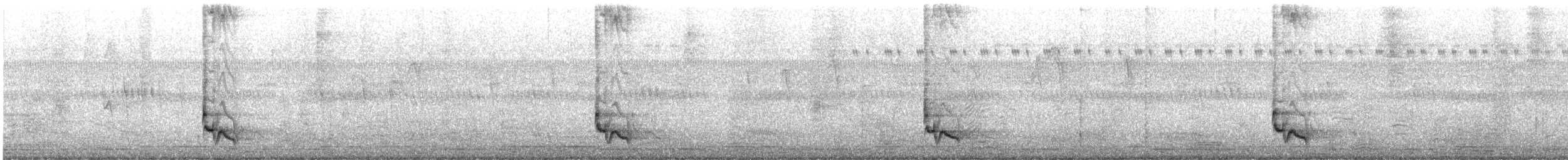 Spotted Morning-Thrush - ML645501693