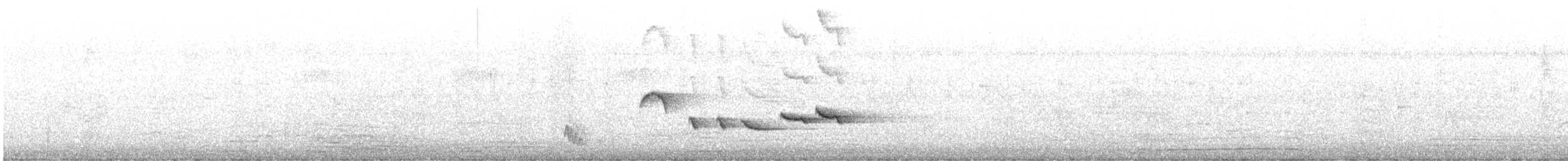 Spotted Morning-Thrush - ML645501694