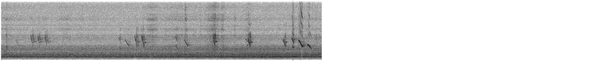 Txoka txikia - ML645501833