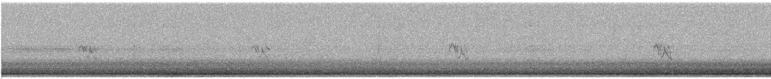 Pine Siskin - ML645501855