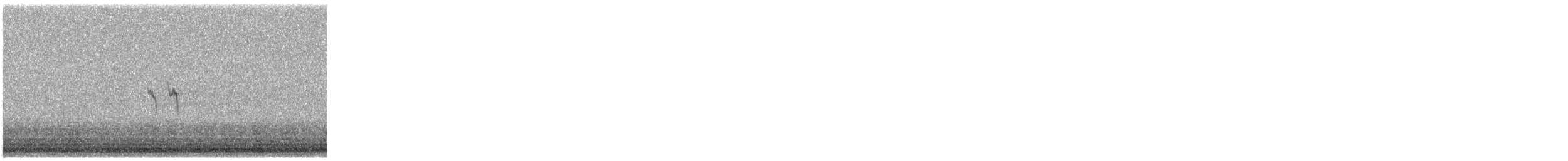 Txirta amerikarra - ML645501868