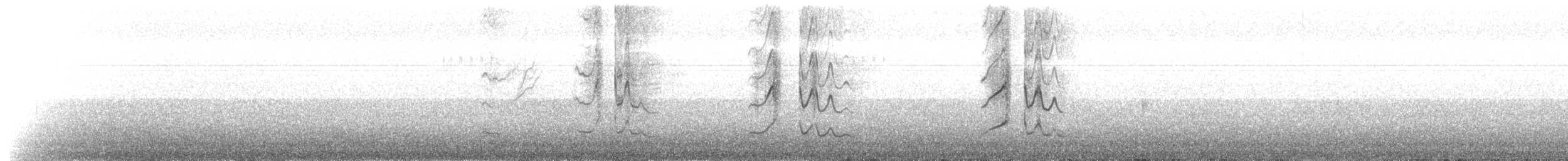 King Penguin - ML645501970