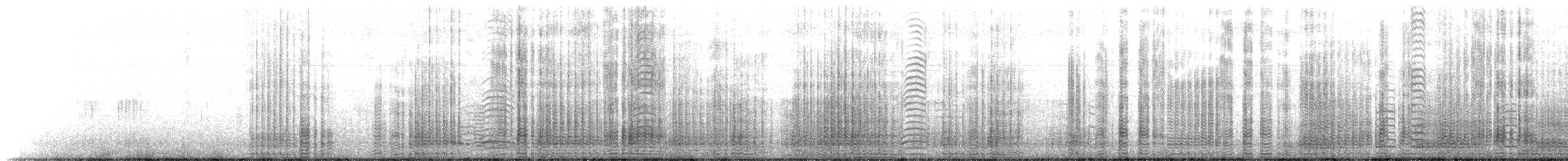 Gentoo Penguin - ML645501979