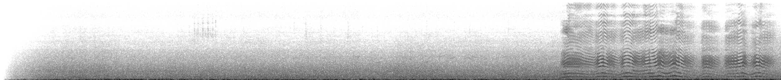 King Penguin - ML645501987