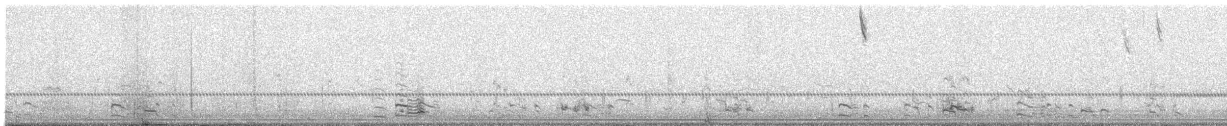 Antzara muturzuria (mendebaldekoa) - ML645502302