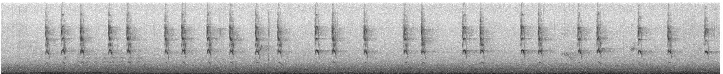 Winter Wren - ML645502685