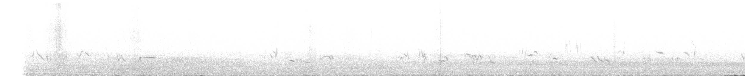 Townsend's Solitaire - ML645503309