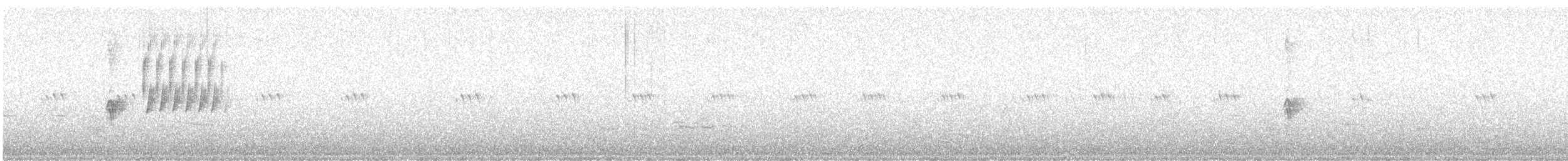 Пятнистый тохи - ML645504209