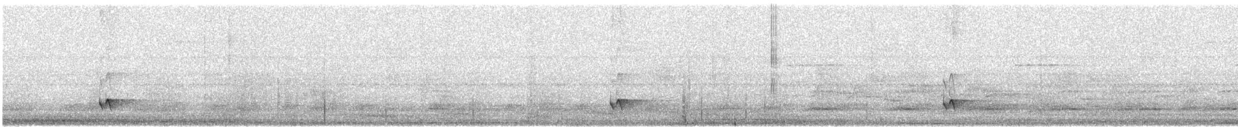 Mayan Antthrush - ML645504550