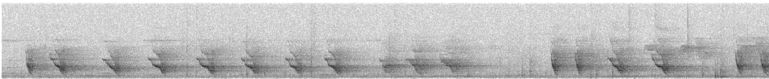 Mealy Amazon - ML645504623