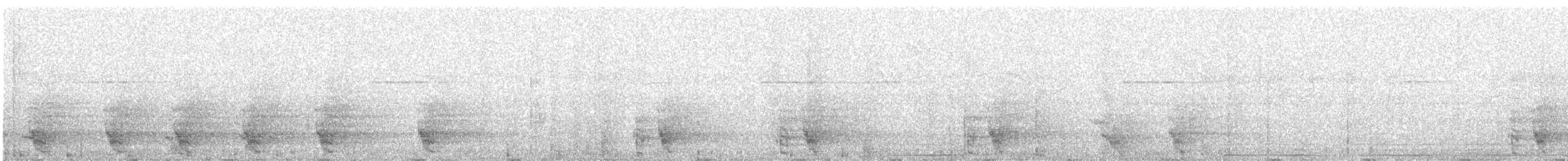 Mealy Amazon - ML645504701