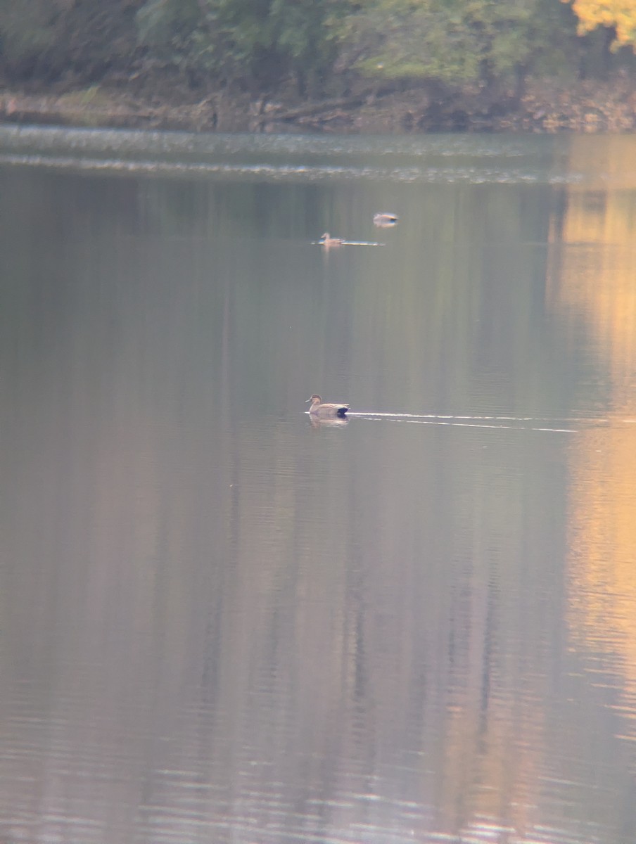 Ipar-ahatea - ML645504706