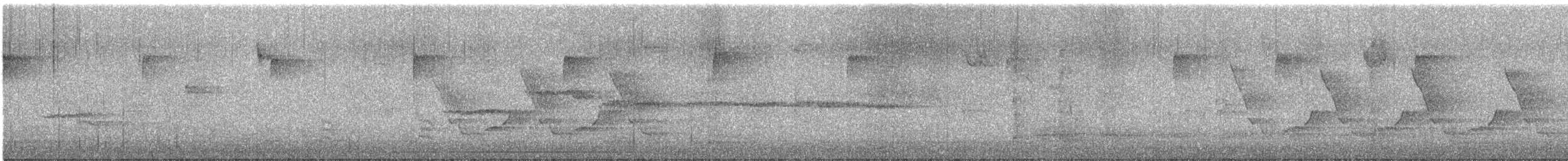 Carolina Wren - ML645505030