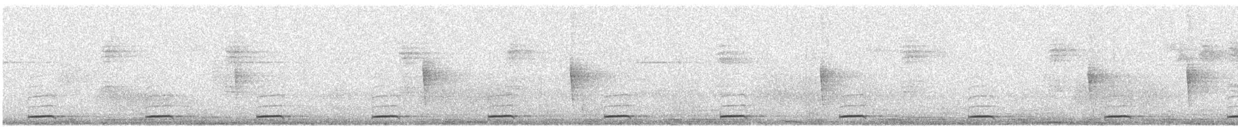 Tody Motmot - ML645505597