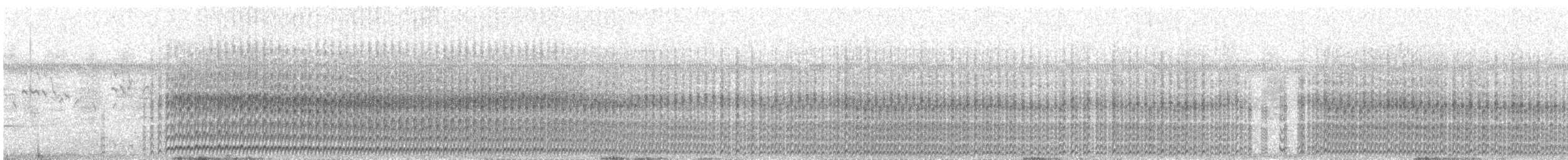 Least Grebe - ML645506702