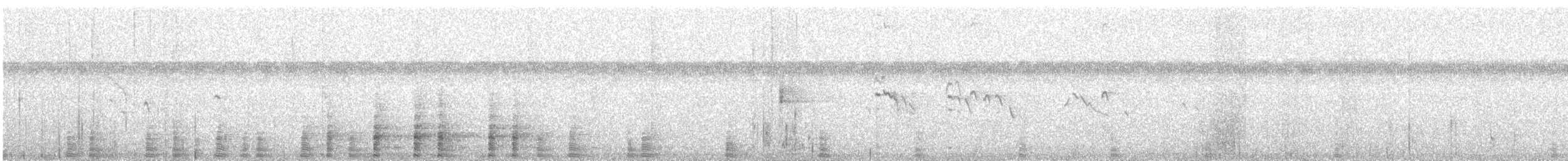 Boat-billed Heron - ML645506707