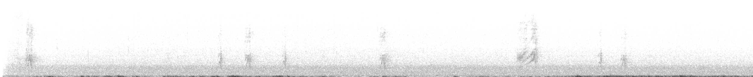 Woodhouse's Scrub-Jay - ML645507048