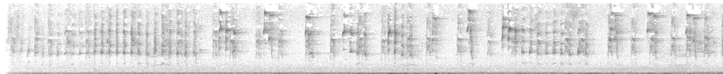 Carpintero de Lewis - ML645507074