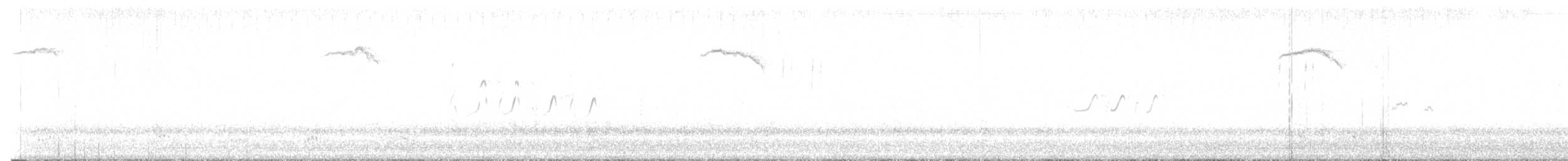 白腰草鷸 - ML645507120