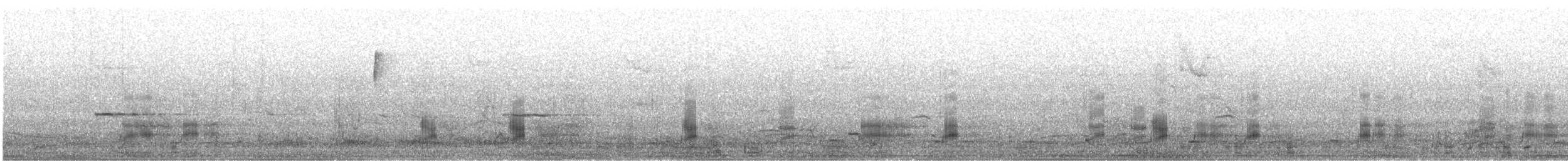 赤膀鴨 - ML645507471