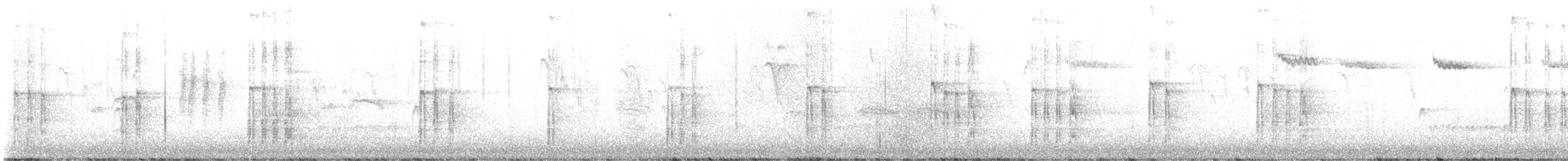 White-headed Woodpecker - ML645507578