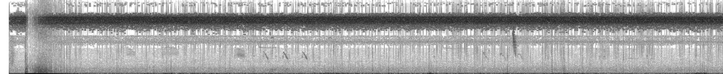 Sedge Wren - ML645507583