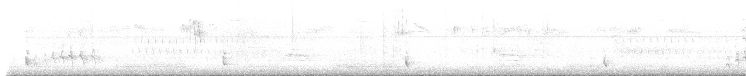 Hermit Thrush - ML645507743