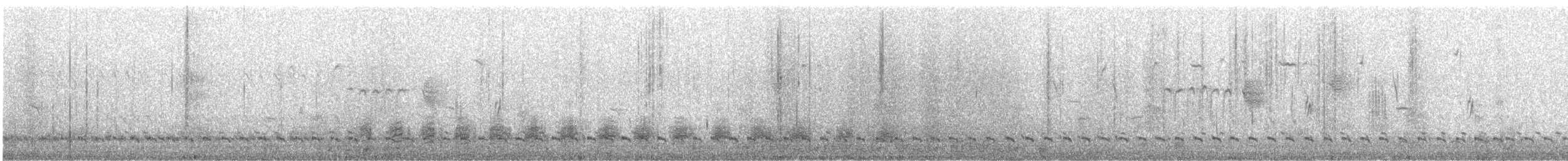 鵲鴨 - ML645507935