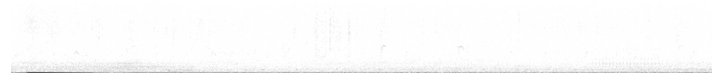 Great Spotted Woodpecker - ML645508590