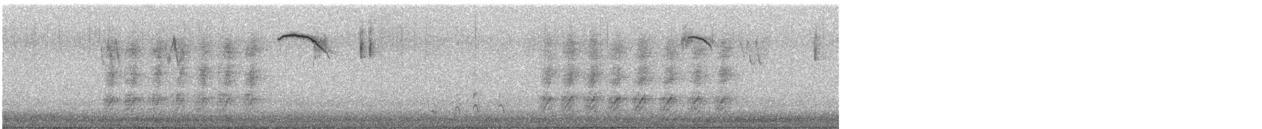 American Robin (migratorius Group) - ML645508865