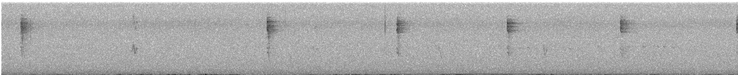 Pacific Wren (Pacific) - ML645508948