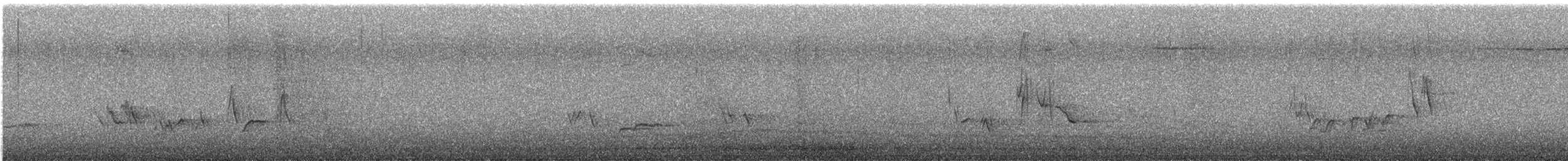 Townsend's Solitaire - ML645508974