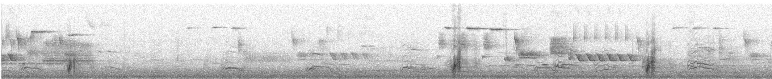 紅胸秋沙 - ML645509024