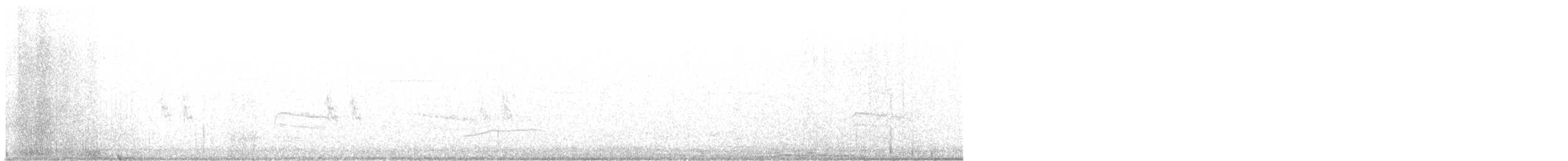 bird sp. - ML645509606