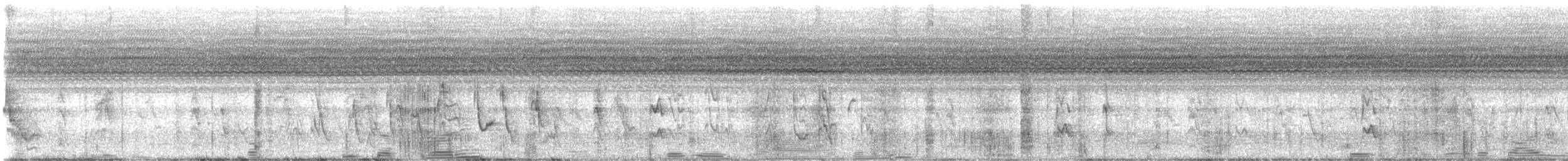 White-browed Sparrow-Weaver - ML645509617