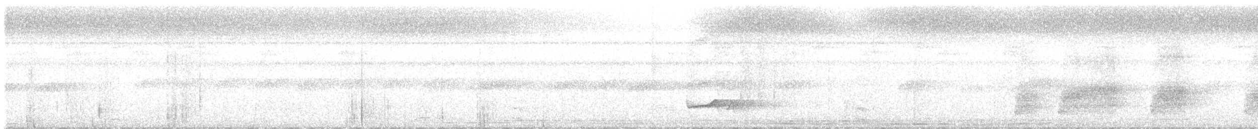 Black-striped Woodcreeper - ML645509639