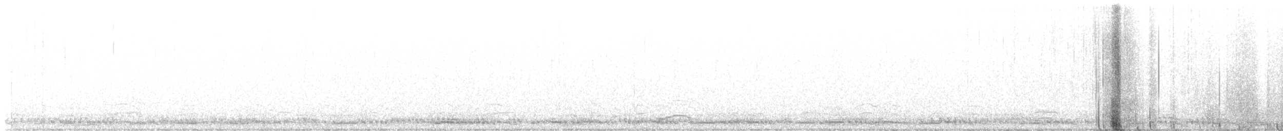 Sandhill Crane - ML645509792