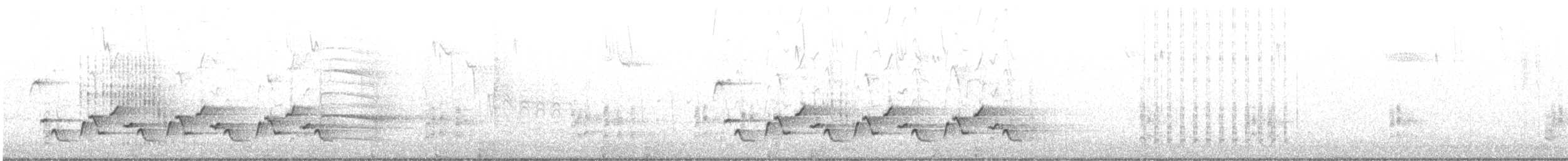 Carolina Wren - ML645509840